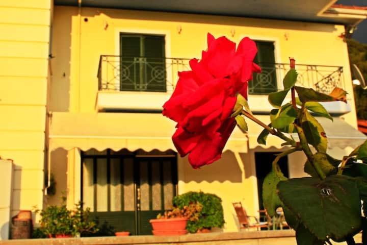 Neo Mpizani Guesthouse Bizani מראה חיצוני תמונה